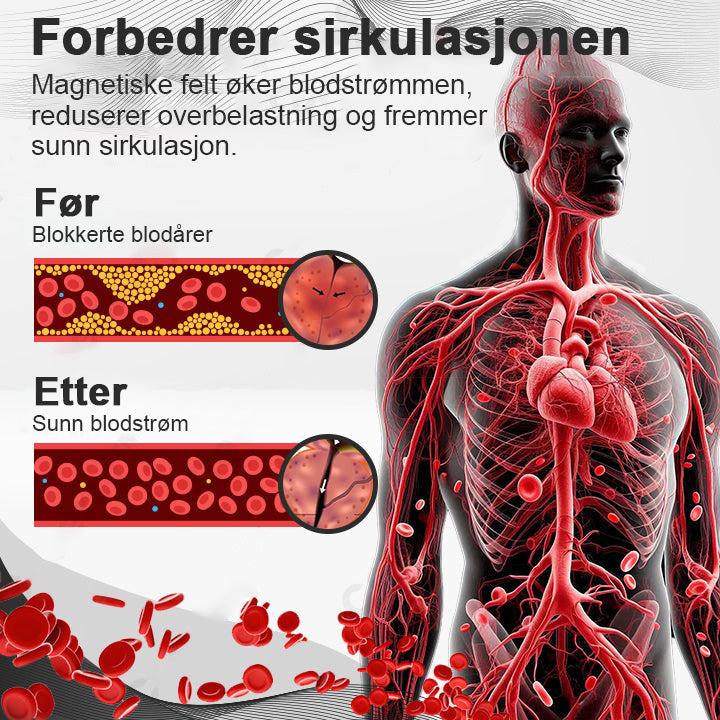 HERMSA™ CopperMag Prostaat Therapie Ring